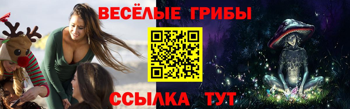 Псилоцибиновые грибы ЛСД  Вход с VPN  закладки  Азов  Псилоцибиновые грибы GOLDEN TEACHER 